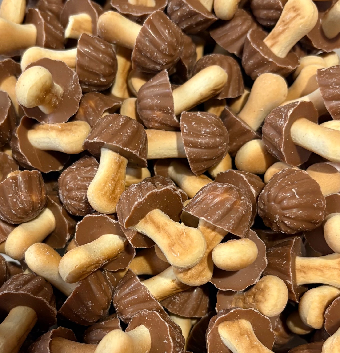 Champignon Chocolat Caramel (lot de 10)
