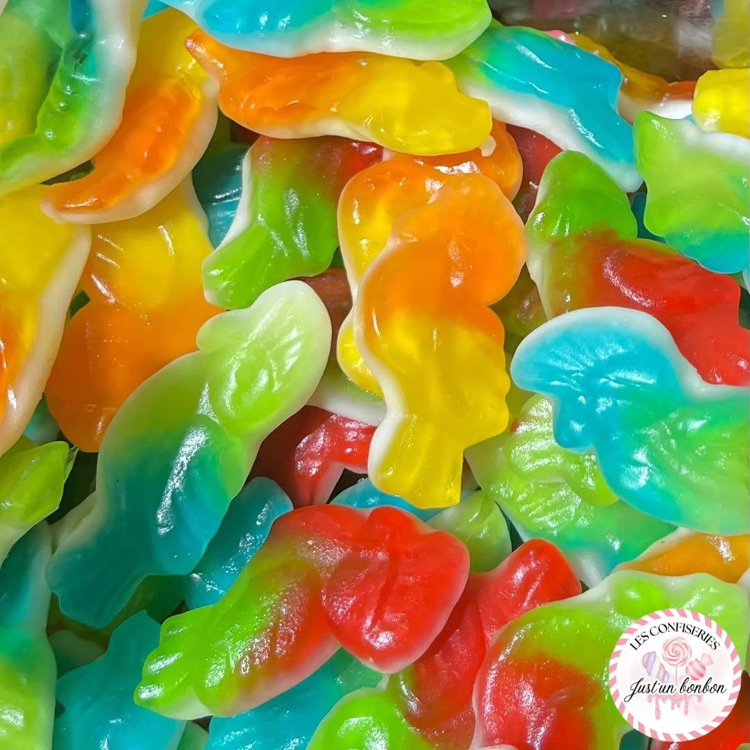 Perroquet 🦜 (100g)