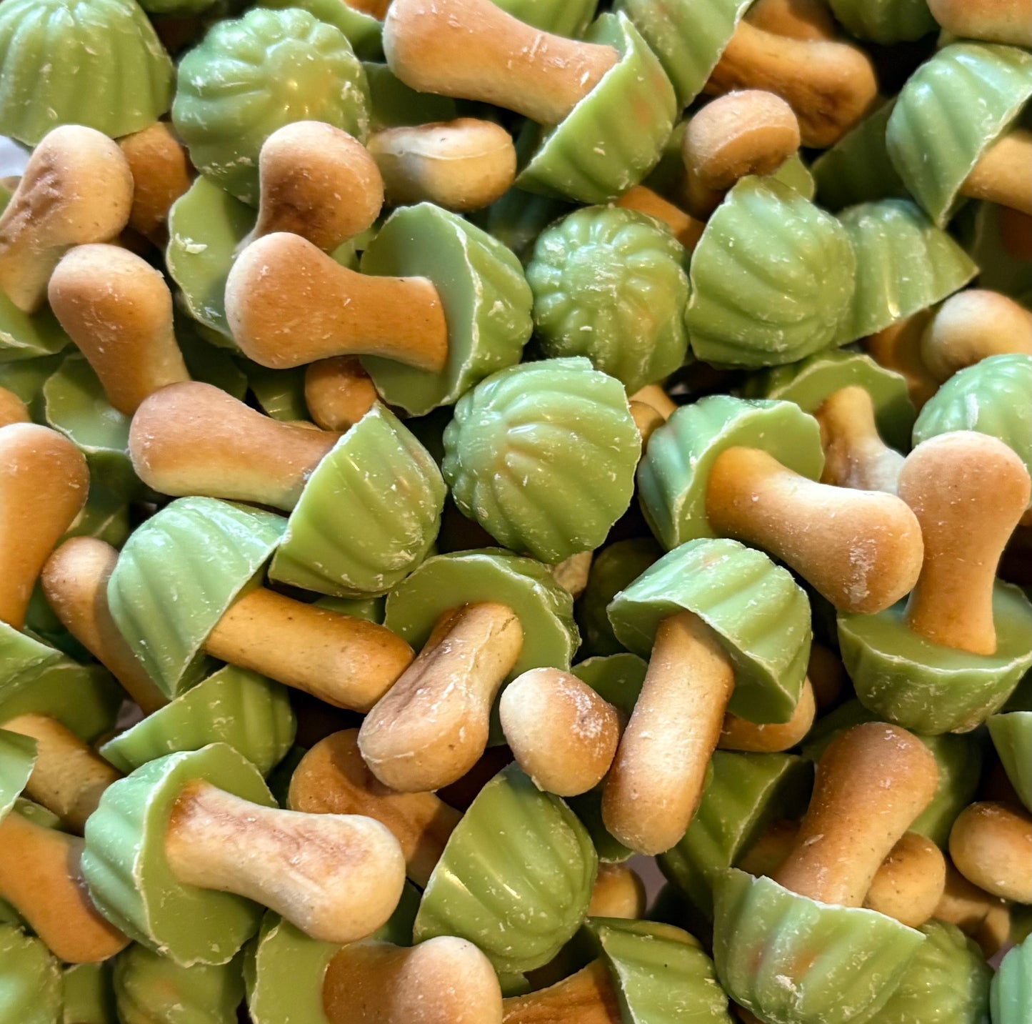 Champignon Chocolat Pistache (lot de 10)