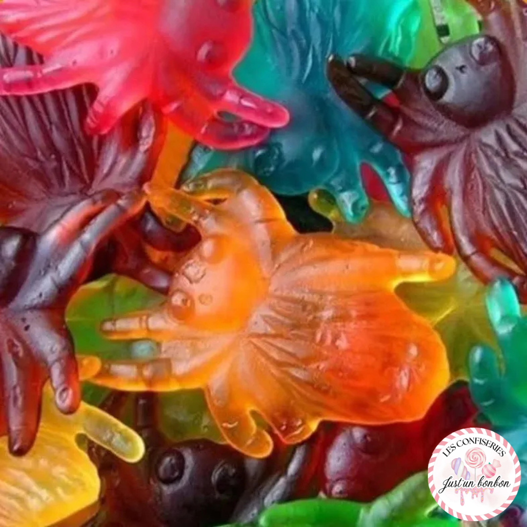 Mygale Géante (lot de 3)