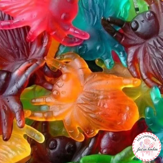 Mygale Géante (lot de 3)