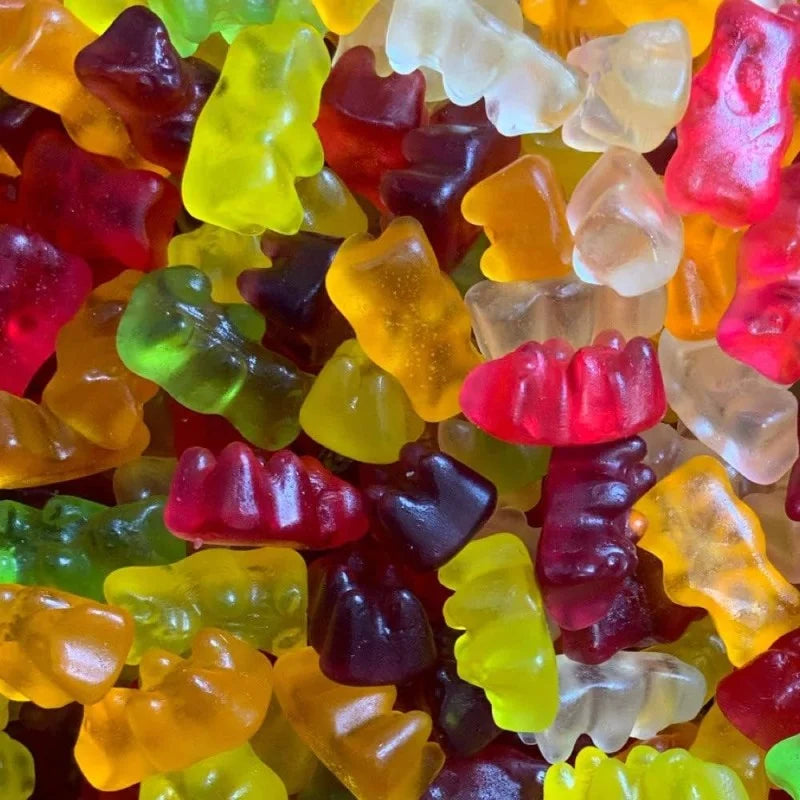 Ourson Sans Sucre (100g)