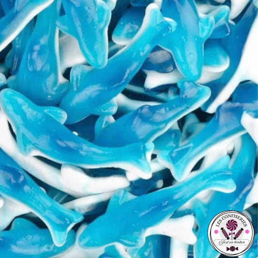 Requin Bleu (100g)