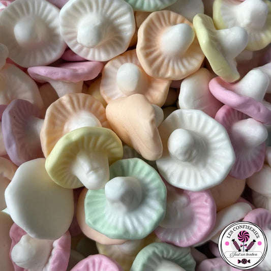 Champignon au Fruits (100g)