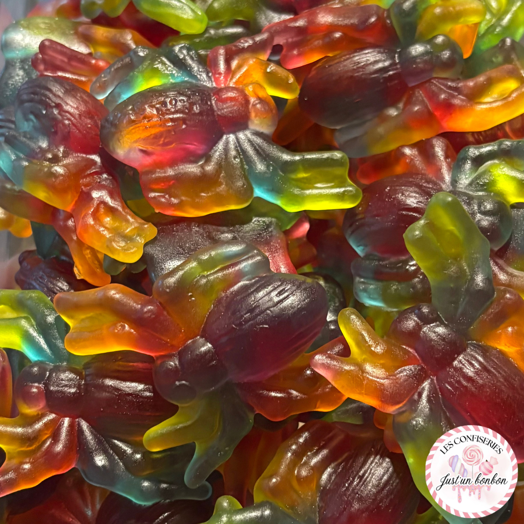 Araignée Frisia (100g) 🕷️