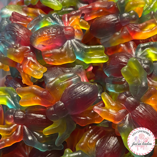 Araignée Frisia (100g) 🕷️