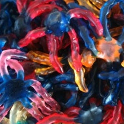 Pieuvre Ursulla (100g)